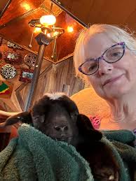 Mini Nigerian bottle-fed baby won't drink water or hay