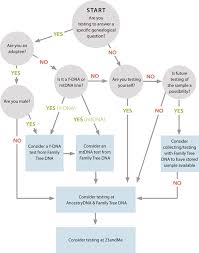 Comparison Guides The Family Tree Guide To Dna Testing And