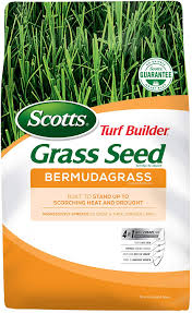 Germination of marijuana seeds, cannabis sativa, & pot seeds with minimum failure. The 7 Best Bermuda Grass Seeds Reviews Tips Buying Guide 2021