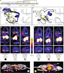 Evaluation of integrin αvβ6 cystine knot PET tracers to detect cancer and  idiopathic pulmonary fibrosis | Nature Communications