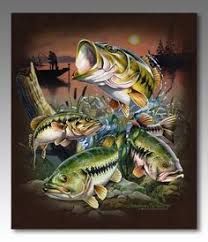 Customize and personalise your desktop, mobile phone and tablet with these free wallpapers! 15 Fish Wallpaper Ideas Fish Wallpaper Fish Wallpaper