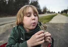 Abbey's journey: 3 states + 6 foster homes = new life in Michigan