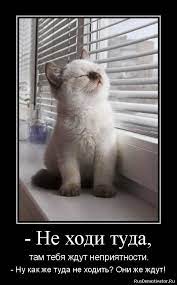 Не ходи туда, - там тебя ждут неприятности.- Ну как же туда не ходить? Они  же ждут! » Демотиваторы по-русски - Создать демотиватор