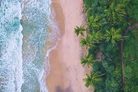 Adara wadan photo free download. Sri Lanka Offnet Wieder Fur Touristen Falstaff Travel