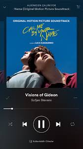 Call Me By Your Name Soundtrack Album Cover Pin By Andrea Hodzic On Somewhere In Northern Italy In 2020 Name Songs Call Me Sufjan Stevens