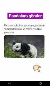 mizah panosundaki pin