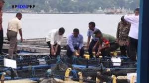 Pin Di Keramba Jaring Apung Segi Empat