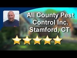 Exterminator bed bugs services weston ct, new canaan ct, westport ct, greenwich ct, pest control fairfield ct, black rock ct, bridgeport ct, cos cob ct, darien ct, easton ct, greenfield hill ct, greens farms ct, monroe ct. All County Pest Control Inc Stamford Amazing 5 Star Review By Allison T Youtube
