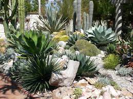 Looking for a simple cacti garden? Cactus Succulent Garden At Sherman Gardens Cactus Garden Design Succulents Cactus Garden