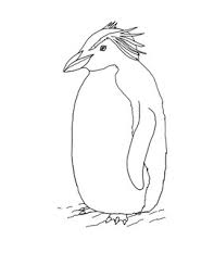 Realistic cute penguin coloring pages. Macaroni Penguin Coloring Page By Mama Draw It Tpt