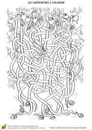 Coloriage Labyrinthe Des Serpents Sur Hugolescargot Com