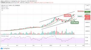 Bitcoin price predictions and forecast for every month. Bitcoin Price Prediction Btc Usd May Likely See Further Downside As Price Fails To Break Above 48 000 Laptrinhx