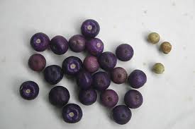 Image result for Rapanea melanophloeos