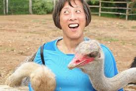 Maybe you would like to learn more about one of these? Aruba Ostrich Farm Is One Of The Very Best Things To Do In Aruba
