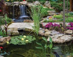 1603plant001 Jpg 773 600 Backyard Water Feature Water Features Estate Garden