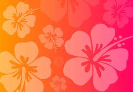Seamless tropical flower pattern on background. Hawaiian Flowers Wallpapers Blumen Hintergrunde Blumentapete Rosa Tapete
