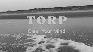 Can you begin emptying your mind today? Torp Clear Your Mind 2021 Lyric Video Youtube