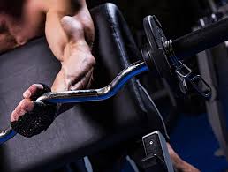 Man, weightlifting, bodybuilder, muscular arms, HD wallpaper |  Wallpaperbetter