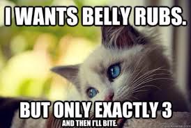 Life is full of problems, and you have to face a lot of hardships. Happy Caturday The Bouncy Kitty