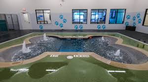 Rover sitters are pet lovers first. Georgetown Pet Boarding Pet Paradise