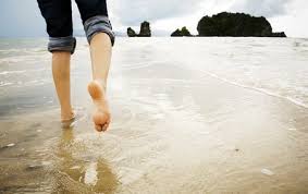 The veterinarian will also need to run some tests on your dog, such as Cancer Prevention Applies To Your Feet Too Montgomery Foot Care Specialists