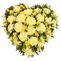 Check spelling or type a new query. Valentine S Day Flowers To India Online Flowers For Valentine S Day