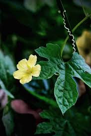 コラム - 株式会社 東 商