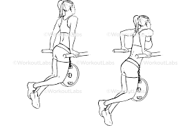 How to use dip in a sentence. Weighted Tricep Dips Workoutlabs Exercise Guide