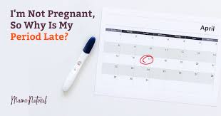 I M Not Pregnant So Why Is My Period Late Mama Natural not pregnant so why is my period late
