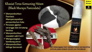 Khasiat jinten hitam untuk pengobatan berbagai macam penyakit. Facebook