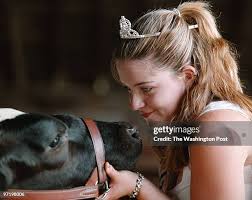 49,612 Windle Stock Photos, High-Res Pictures, and Images