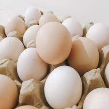 Maybe you would like to learn more about one of these? Telur Ayam Kampung Organik Shopee Indonesia