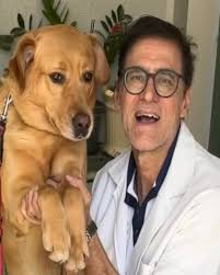 Clínica Veterinária