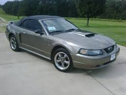 2001 Ford Mustang Pictures Cargurus 2001 Ford Mustang Ford Mustang Mustang