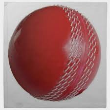 Cricket Ball Red Customize With Your Name Cloth Napkin Zazzle Com Cricket Balls Cloth Napkin Cricket Logo