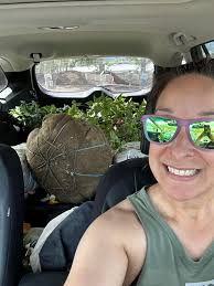 Ideal spacing for mountain fire pieris and house?