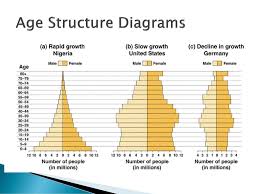 Population Dynamics Chapter 4 Ppt Download