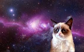 Grumpy Cat In Space 1920x1200 Imgur Grumpy Cat Humor Cat Wallpaper Cat Pics