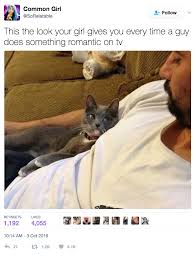 When You Tell Your Mans All The Tea Cause He Your Best Friend Too Funny Animals Funny Memes Funny Pictures