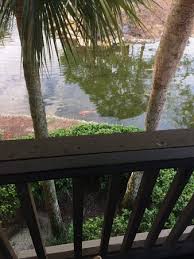 Did an awesome job on my screened lanai. Rotting Eaves Picture Of Legacy Vacation Resorts Palm Coast Tripadvisor