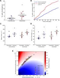 Maybe you would like to learn more about one of these? Decoupling The Roles Of Cell Shape And Mechanical Stress In Orienting And Cueing Epithelia Mitosis Biorxiv
