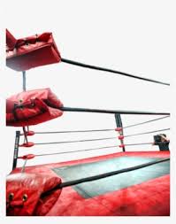 Find & download the most popular wrestling ring vectors on freepik free for commercial use high quality images made for creative projects. Wrestling Ring Png Transparent Wrestling Ring Png Image Free Download Pngkey