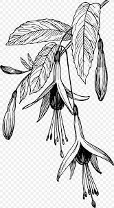 Maybe you would like to learn more about one of these? Drawing Black And White Clip Art Png 1319x2400px Drawing Art Artwork Black And White Branch Download