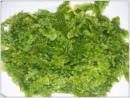 The name lato is polish for summer. Pin On Seaweed Recipes