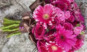 We did not find results for: Diy Instructions For A Gerbera Daisy Wedding Bouquet Smart Tips