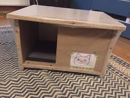 Kedievimadoreden Kedi Evi Kedi