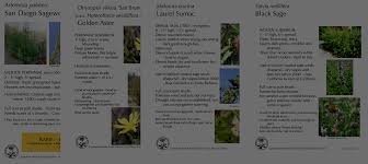 Check spelling or type a new query. Native Plant Profiles California Native Plant Society San Diego Chapter