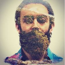 Drew Streip (@dhstreip)