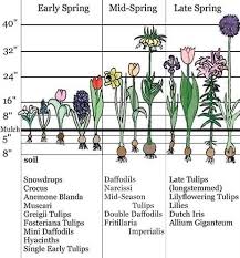 We did not find results for: Planting Fall Bulbs For Spring Flowers Bulb Planting Chart The Old Farmer S Almanac