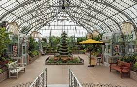 Krohn Conservatory Christmas 2021 The Butterfly Show At The Krohn Conservatory Is Back For 2021